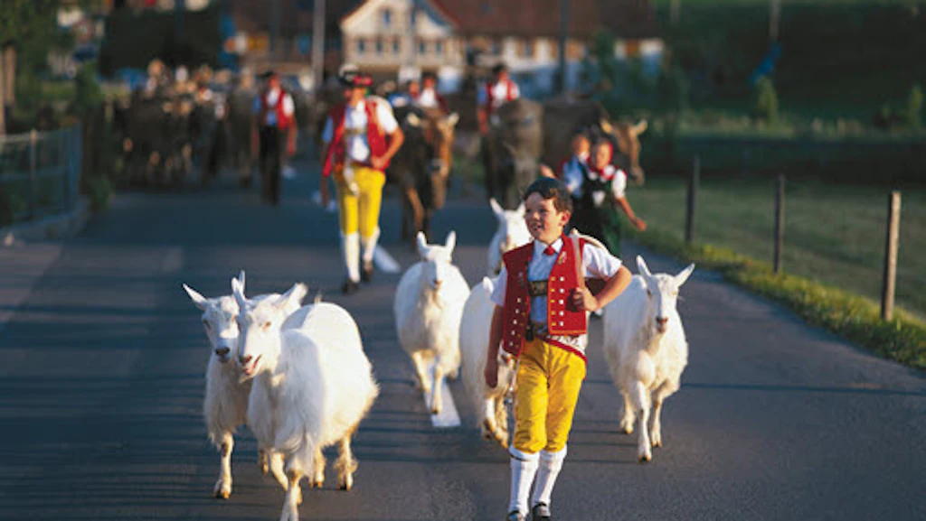 Archiv Appenzellerland Tourismus