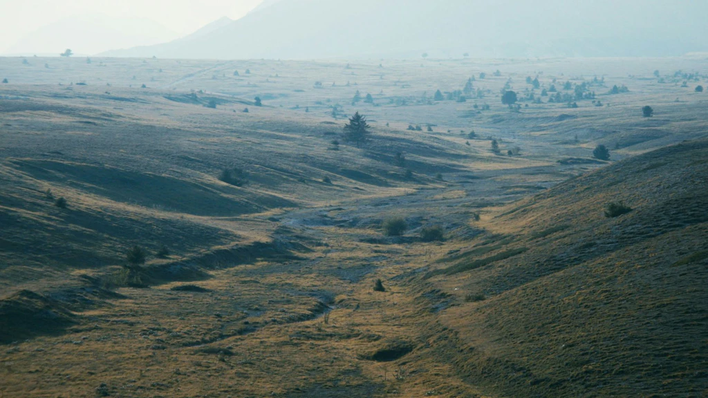 Vaste paysage vallonné des Apennins avec des plaines herbeuses et quelques arbres isolés. L’environnement ouvert et aride s’étend jusqu’aux montagnes à l’arrière-plan.