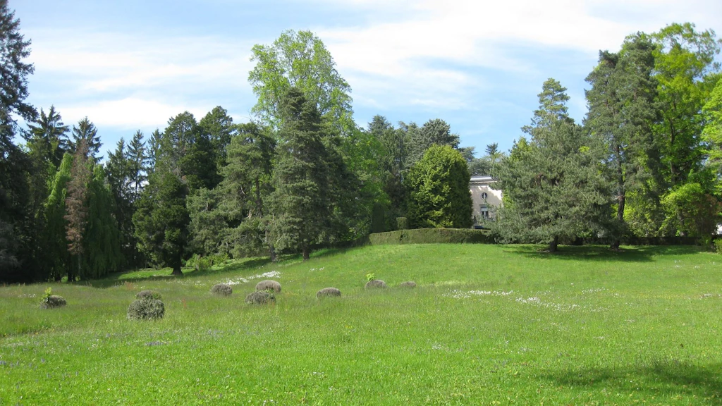 Der Park der Villa Eupalinos in Pully ist heute mangels Unterhalt stark verwildert.